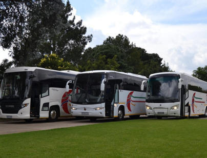 Bus tours from Midrand